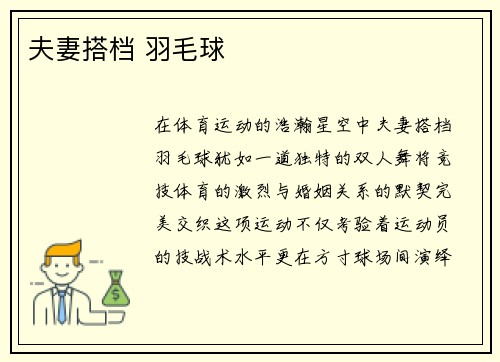 夫妻搭档 羽毛球